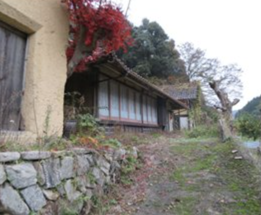 View 2