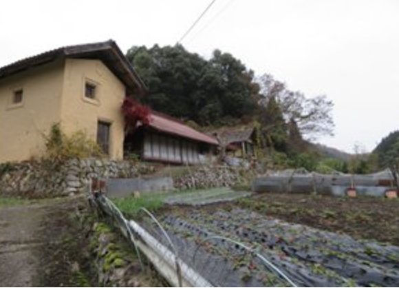 View 3