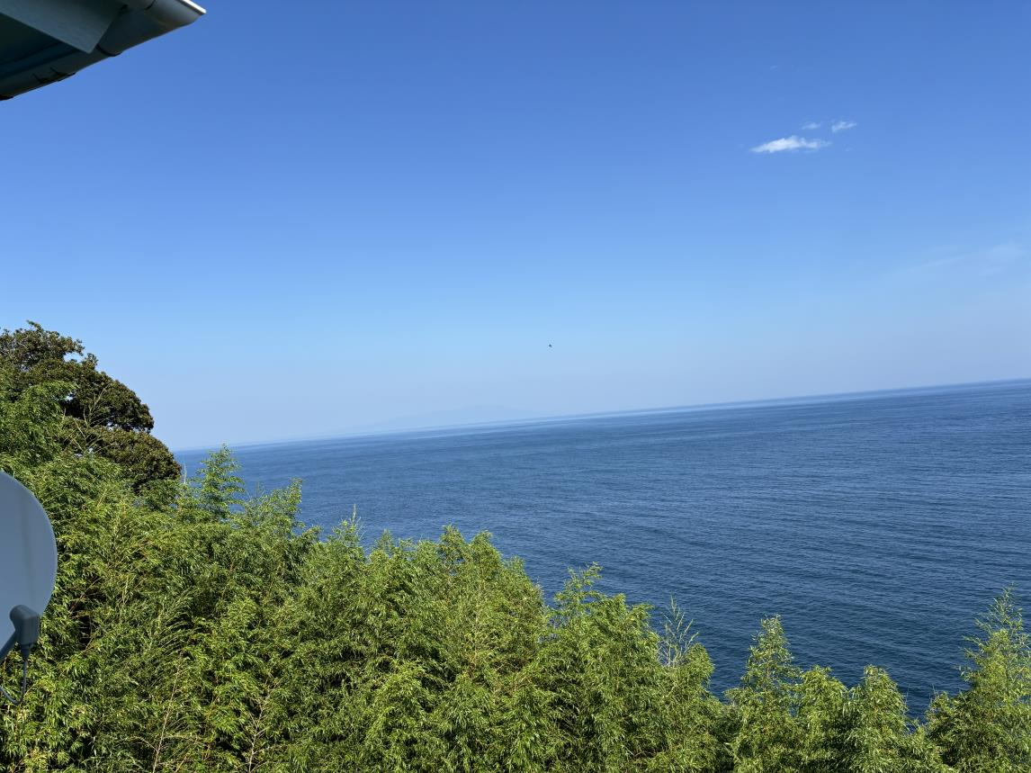 View 7