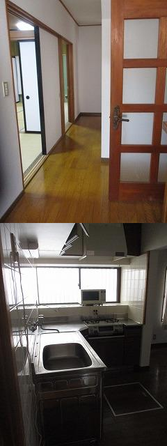 View 12