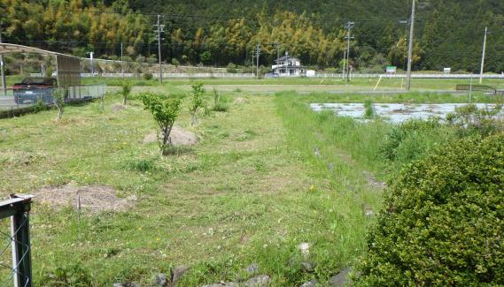 View 5