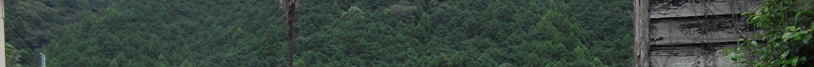 View 12