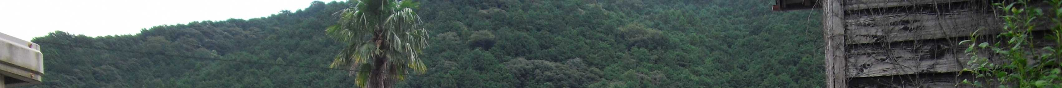 View 33