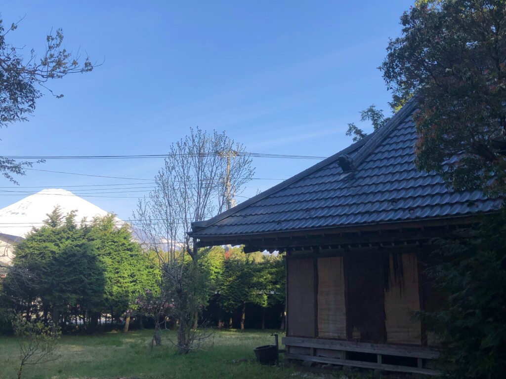 View 3