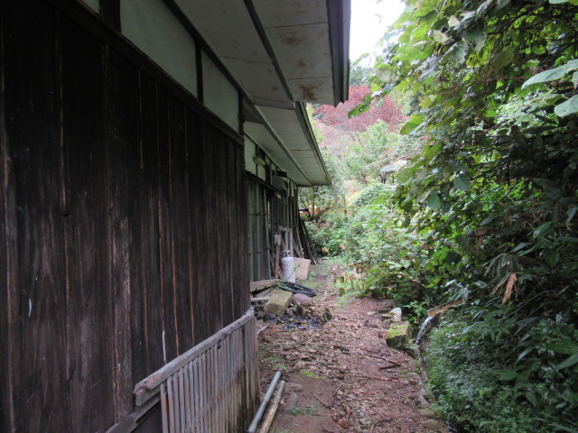 View 4
