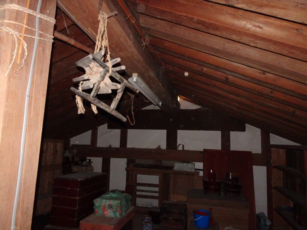View 3