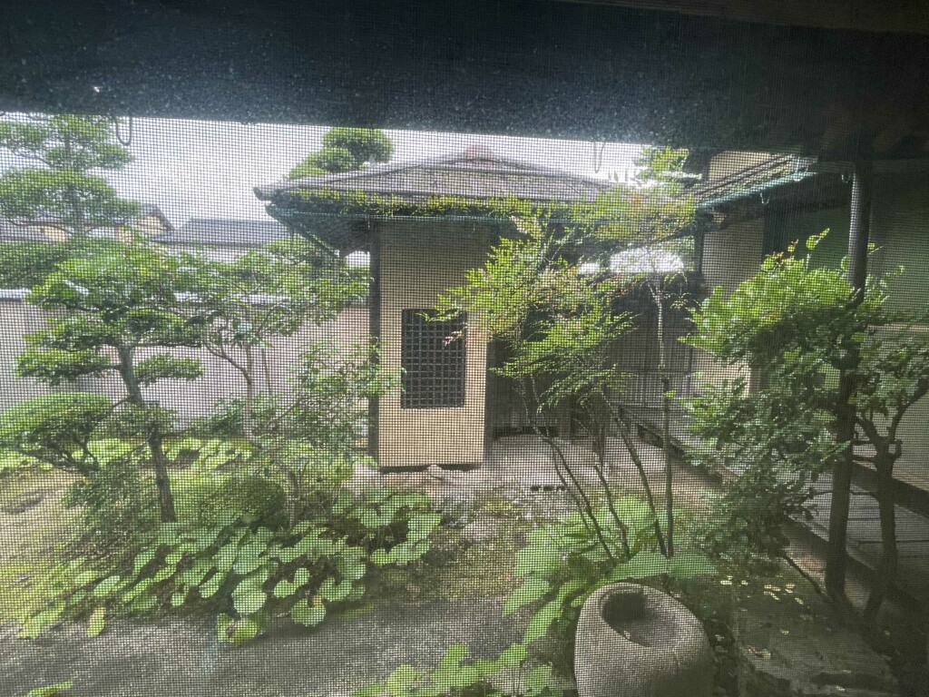View 3