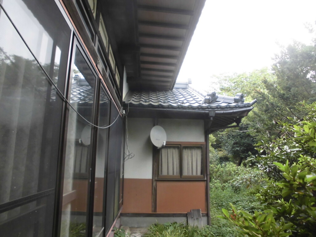 View 3