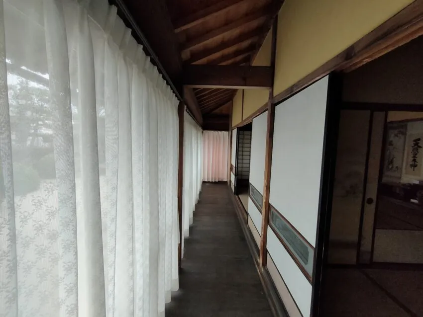View 6
