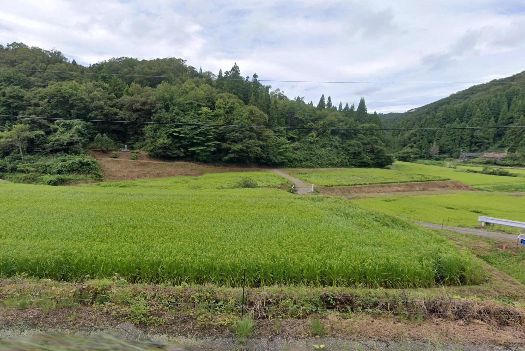 View 2