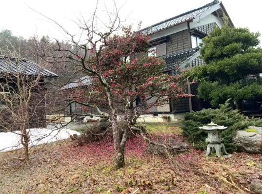 View 6