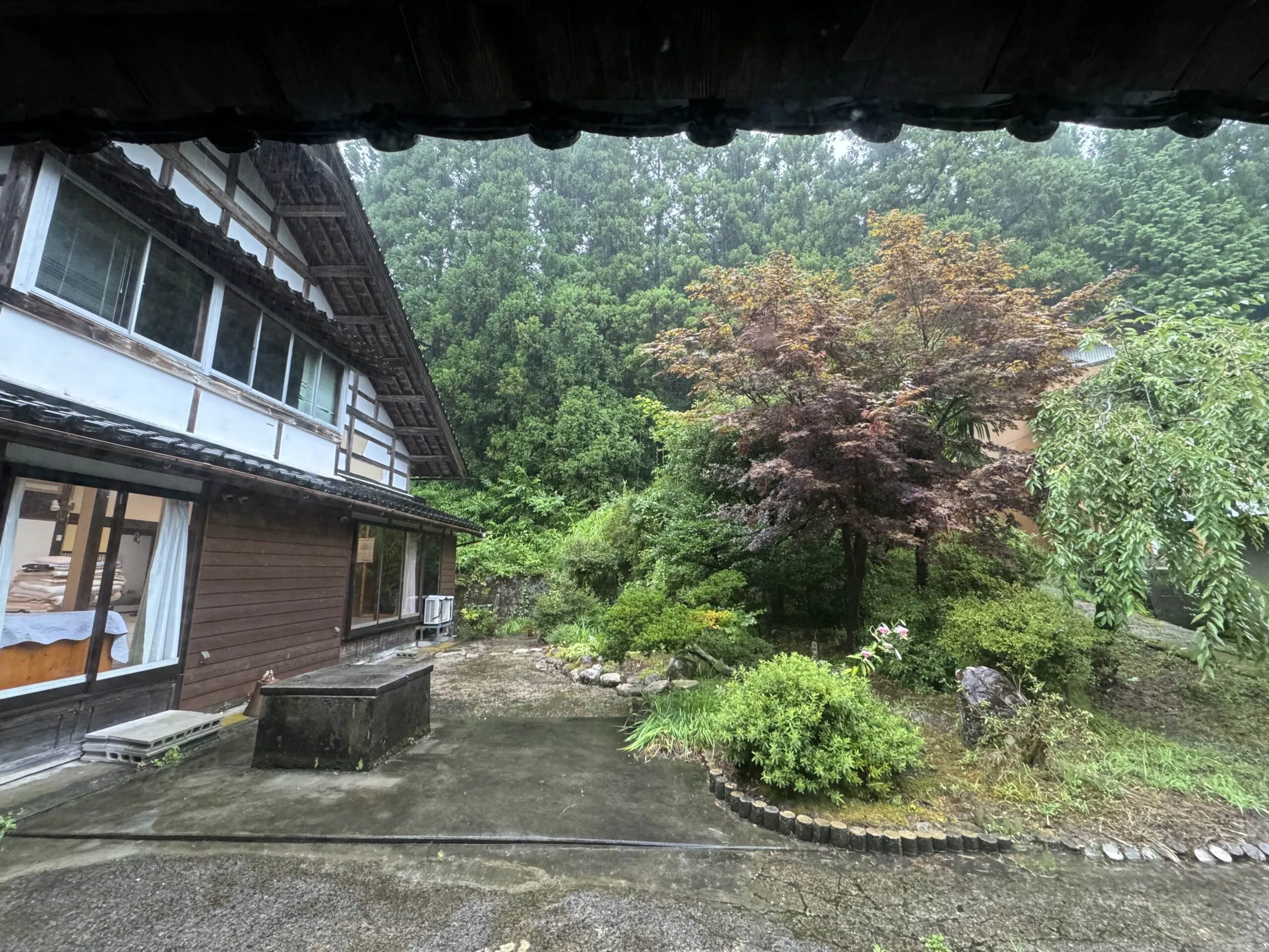 View 7
