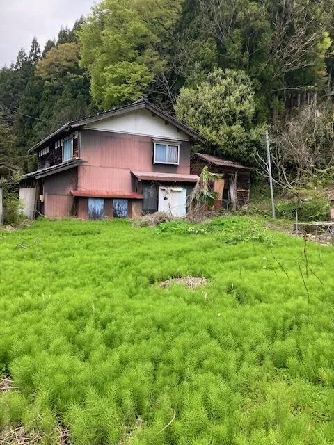 View 7