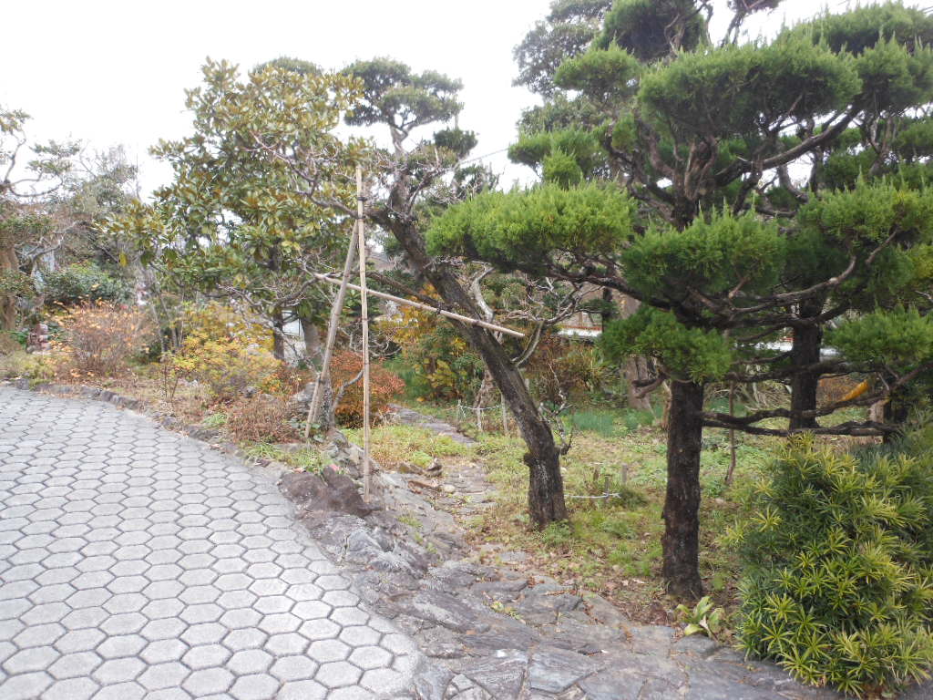 View 3