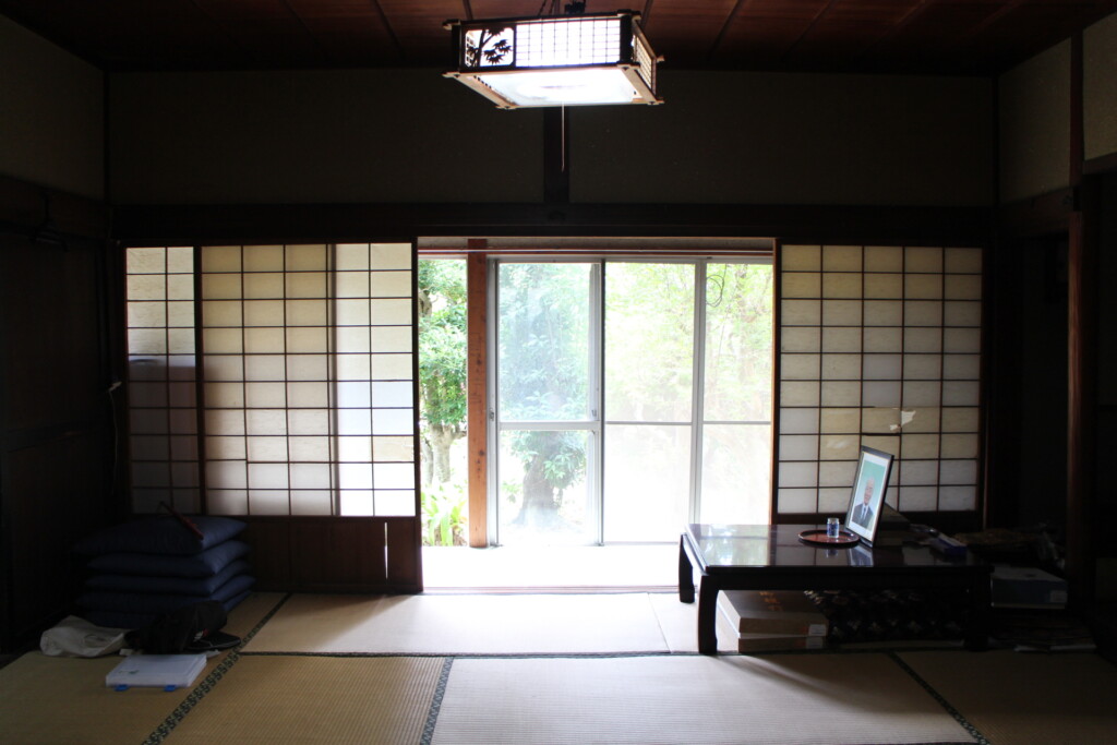 View 4
