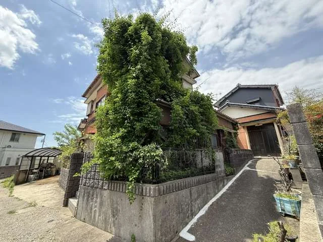 View 2