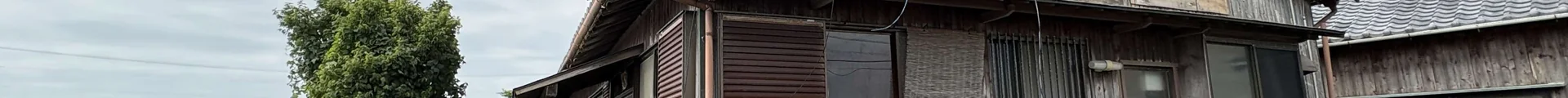 View 8