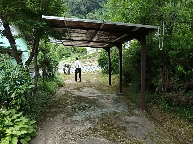View 3