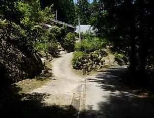 View 10