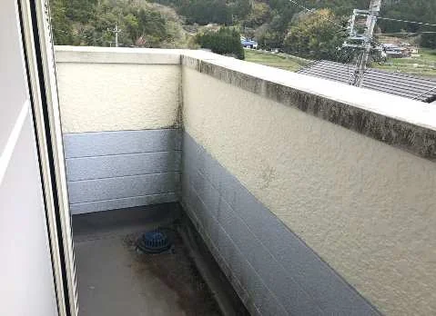 View 12