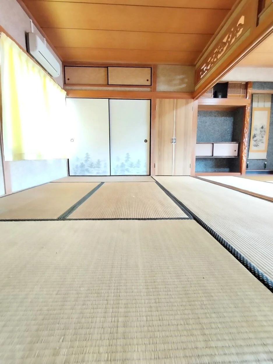 View 5