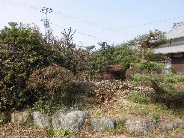 View 3