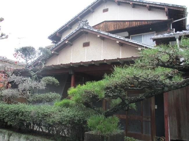 View 8