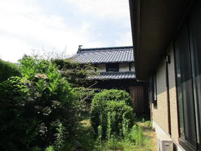View 7