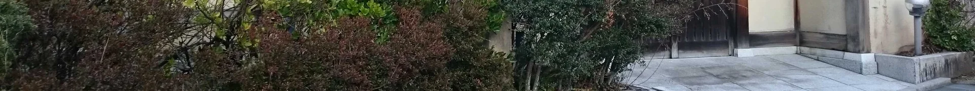View 6