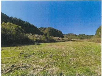 View 3