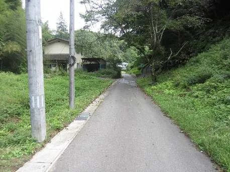 View 5