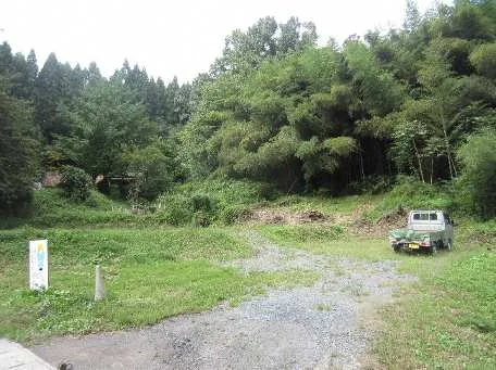 View 6