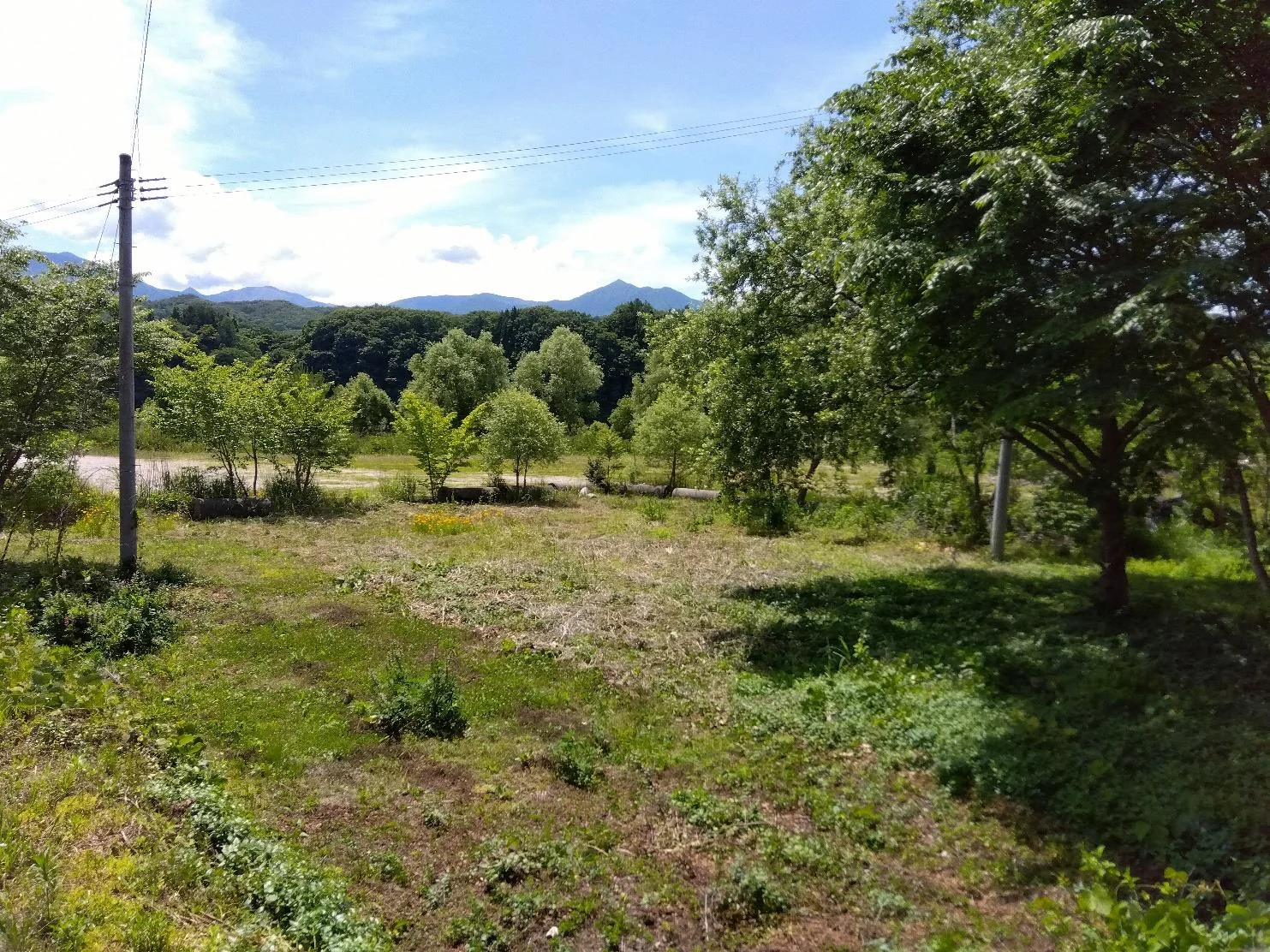 View 4