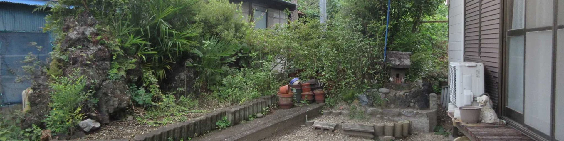 View 20