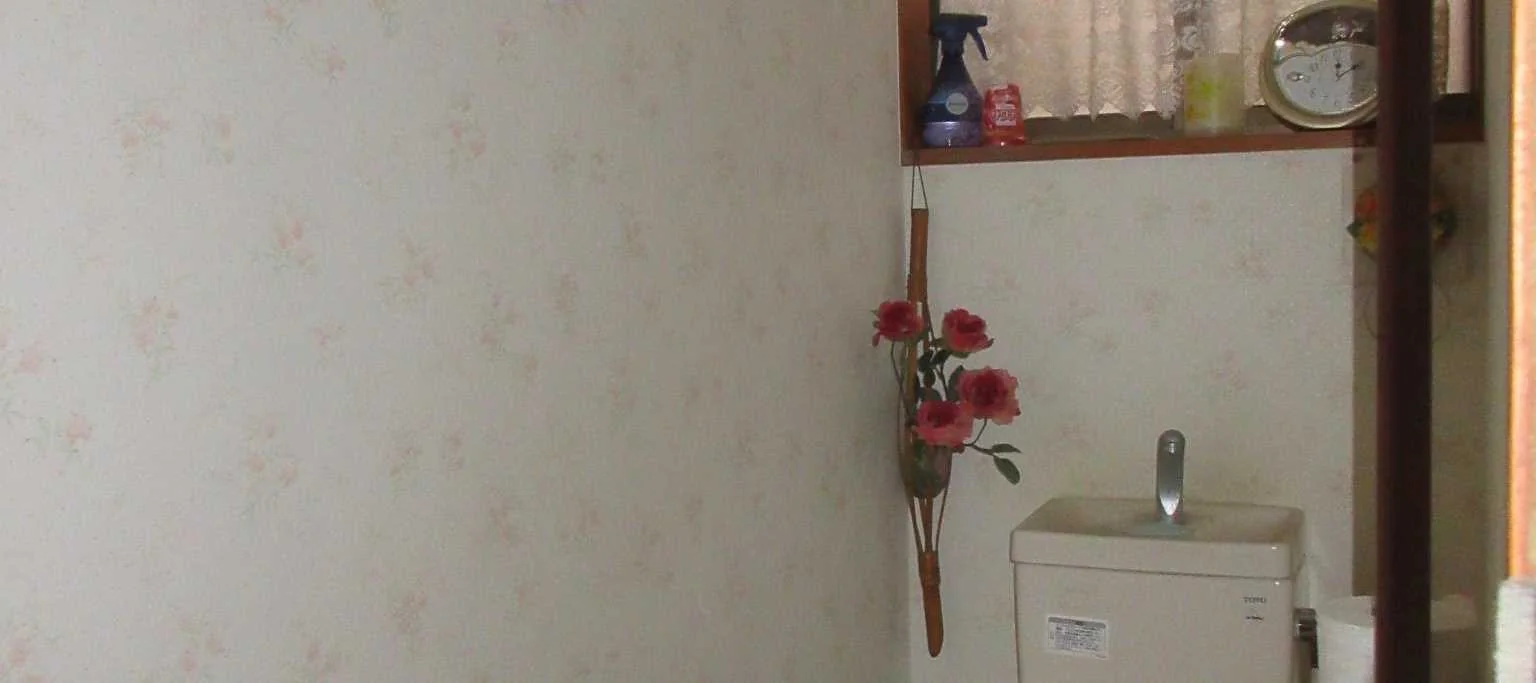 View 21