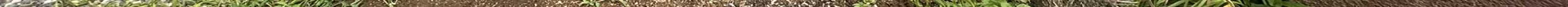 View 1032