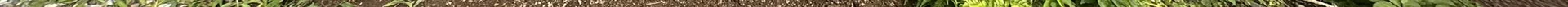 View 1052