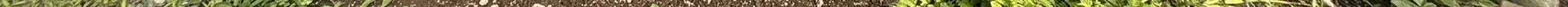 View 1057