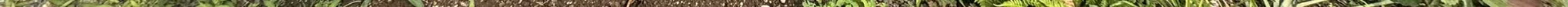 View 1064