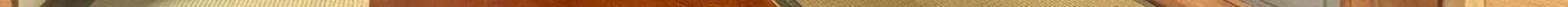 View 1156