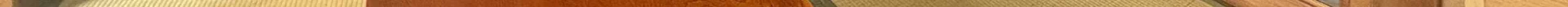 View 1161