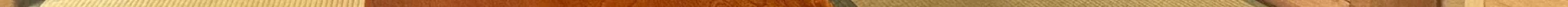 View 1165
