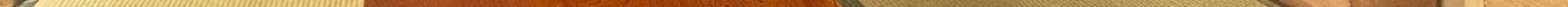 View 1166