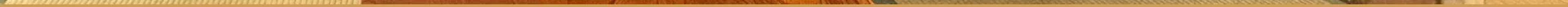 View 1171