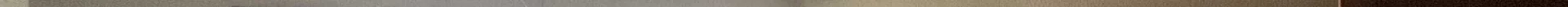 View 1231