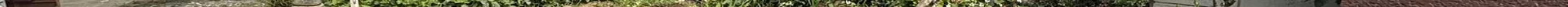 View 993
