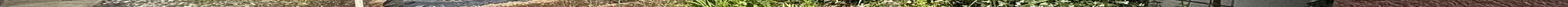 View 998