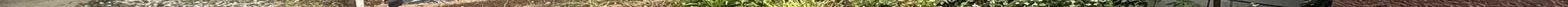 View 999