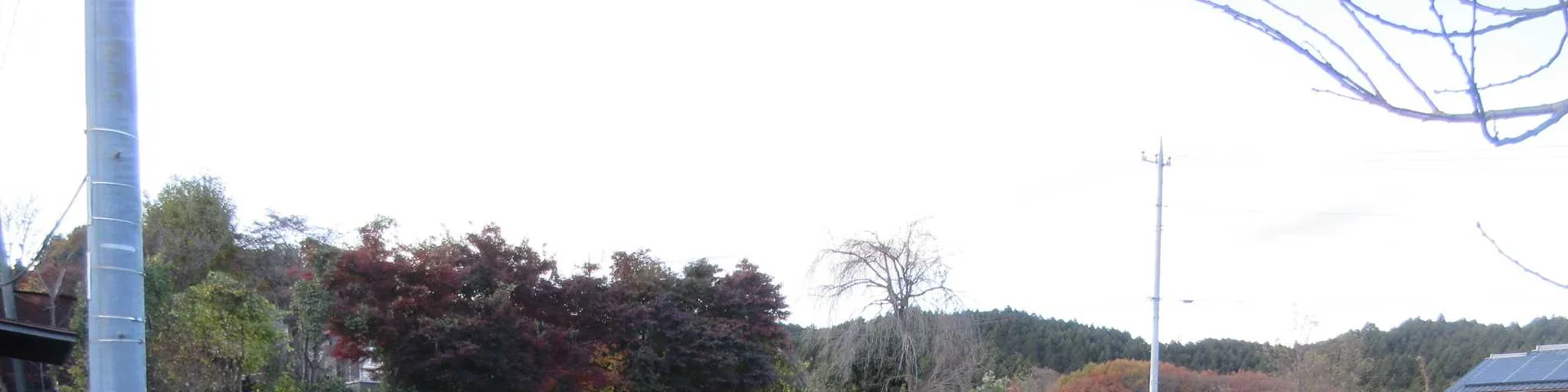 View 50