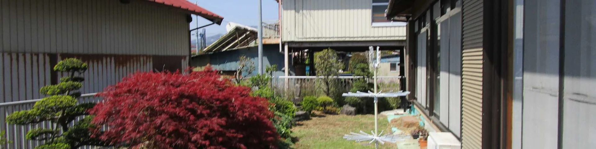 View 25